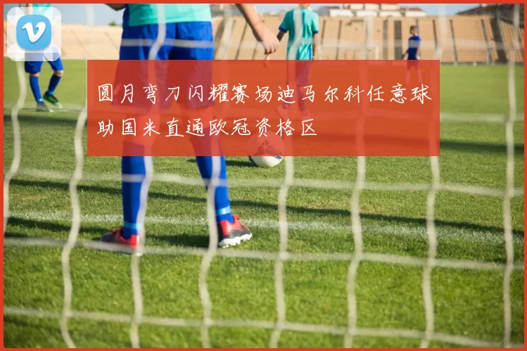 圆月弯刀闪耀赛场迪马尔科任意球助国米直通欧冠资格区