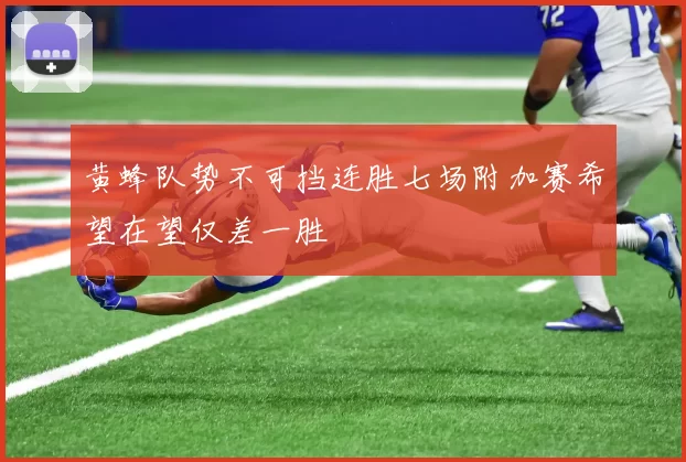 黄蜂队势不可挡连胜七场附加赛希望在望仅差一胜